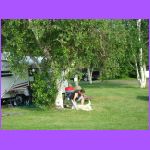 Playing With Dog.jpg